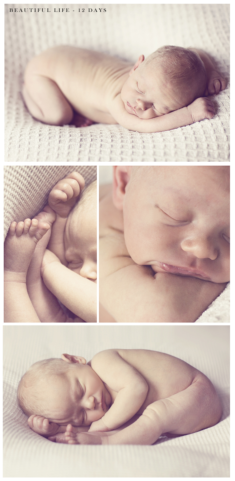 toronto-newborn_baby_maternity_photographer2
